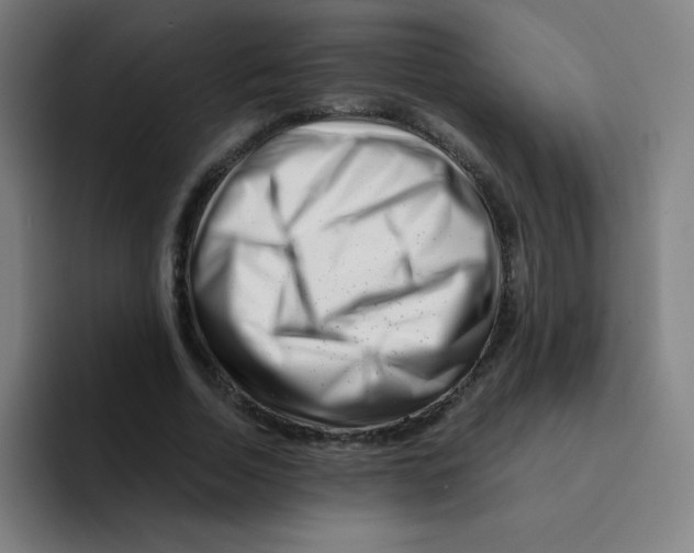 X0000094930730200712271552