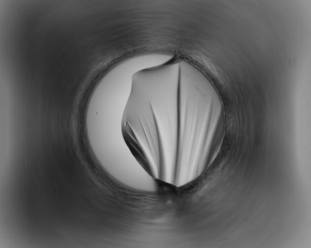 X0000094930736200712271552