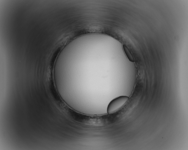 X0000094930744200712271552