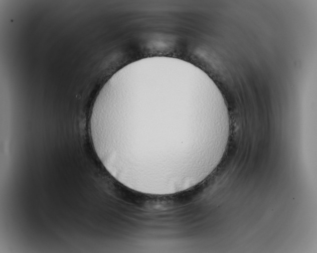 X0000094930745200712271552