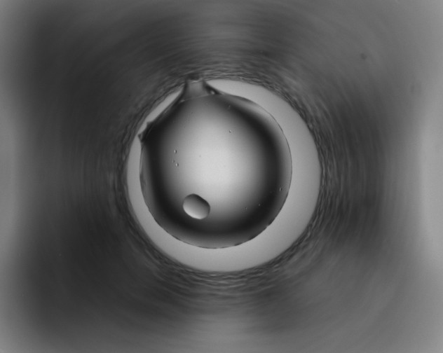 X0000094930750200712271552