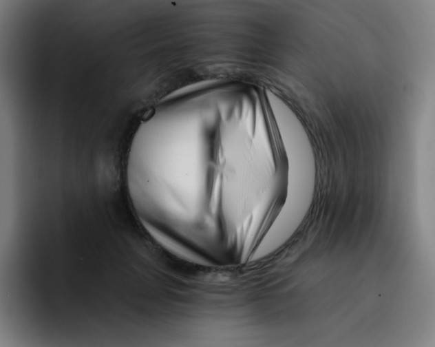 X0000094930751200712271552