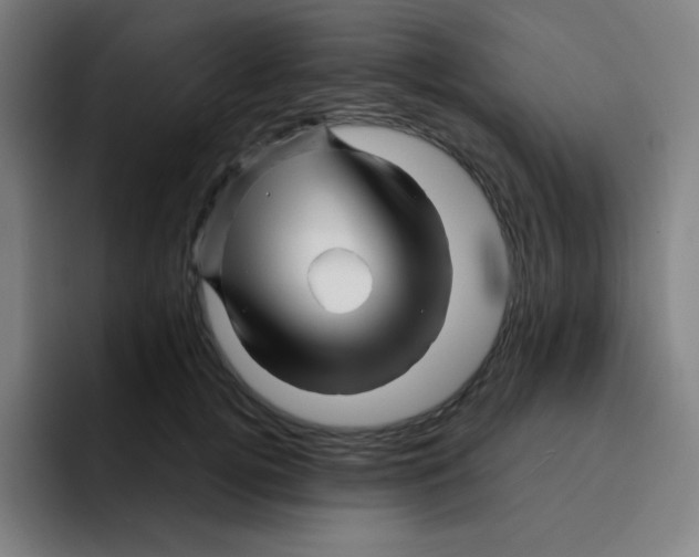X0000094930752200712271552