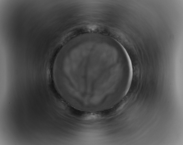 X0000094930754200712271552