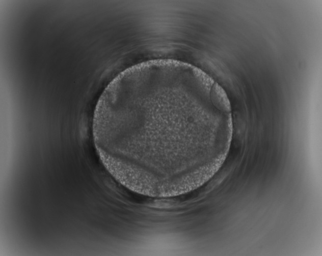 X0000094930758200712271552