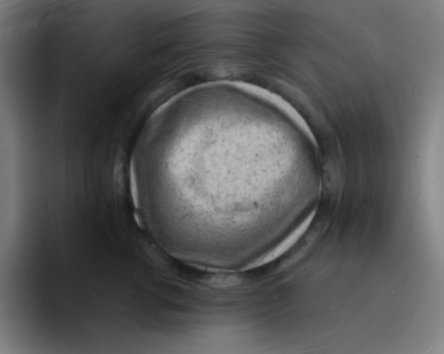 X0000094930762200712271552