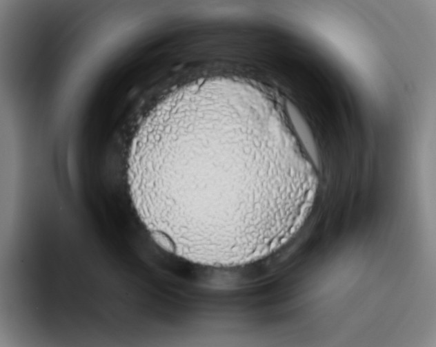 X0000094930765200712271552