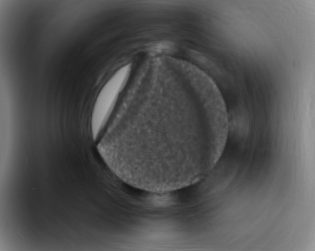 X0000094930767200712271552