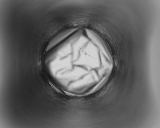 X0000094930771200712271552