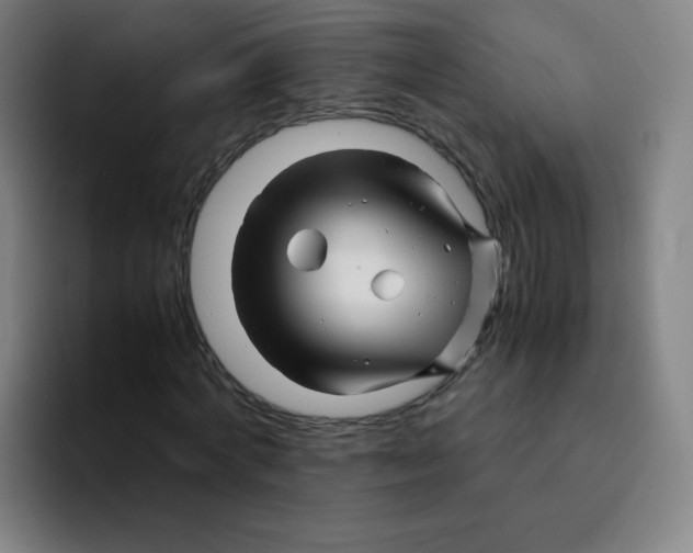 X0000094930772200712271552