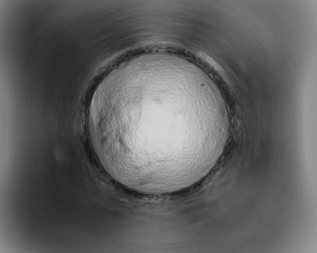 X0000094930775200712271552