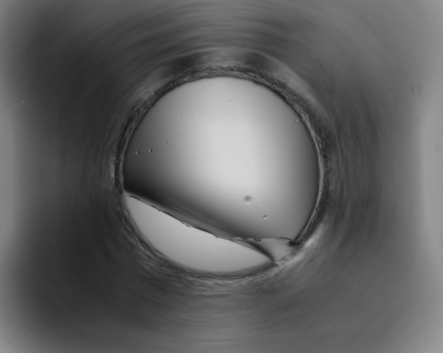 X0000094930777200712271552