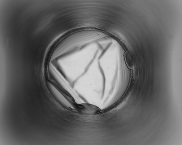 X0000094930780200712271552