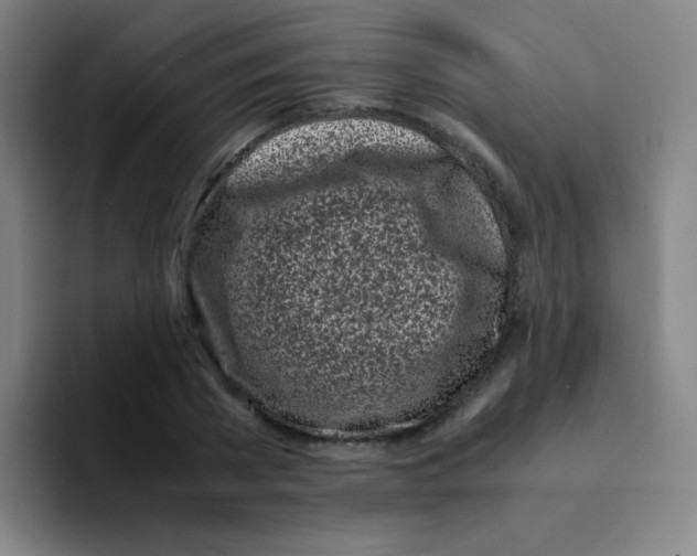 X0000094930785200712271552