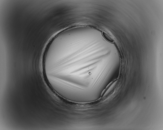 X0000094930795200712271552