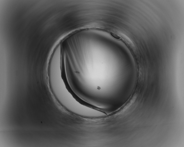 X0000094930800200712271551