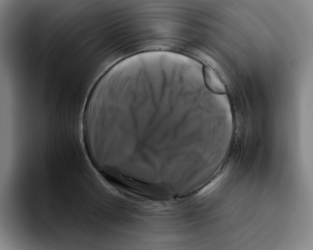 X0000094930802200712271551
