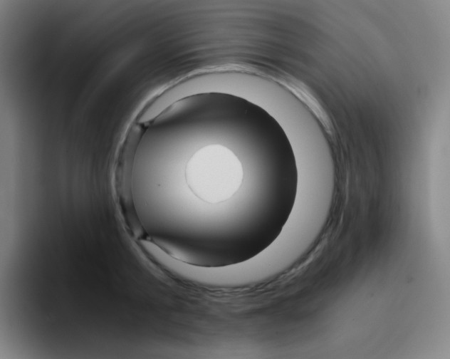 X0000094930805200712271551
