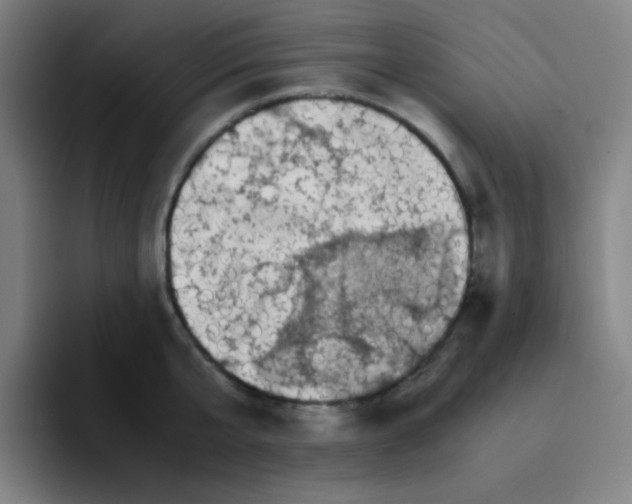 X0000094930807200712271551