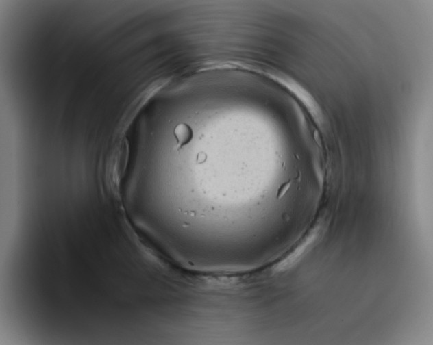 X0000094930809200712271551