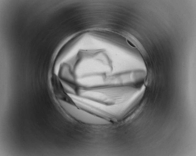 X0000094930812200712271551