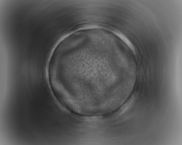 X0000094930813200712271551