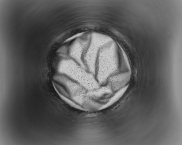 X0000094930822200712271551