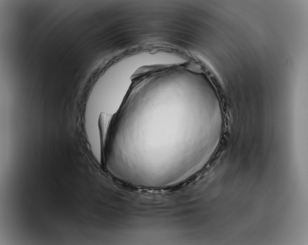 X0000094930823200712271551