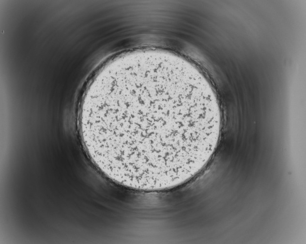 X0000094930828200712271551