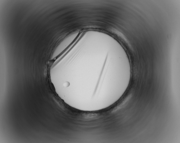 X0000094930833200712271551