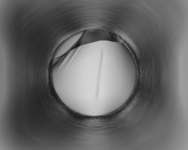 X0000094930834200712271551