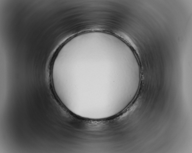 X0000094930835200712271551