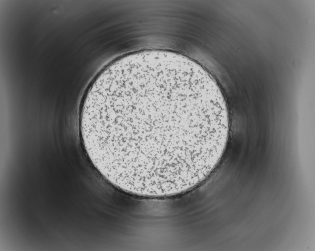 X0000094930836200712271551