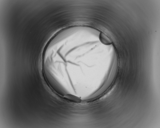 X0000094930844200712271551