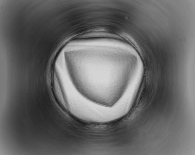 X0000094930851200712271551