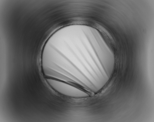 X0000094930852200712271551