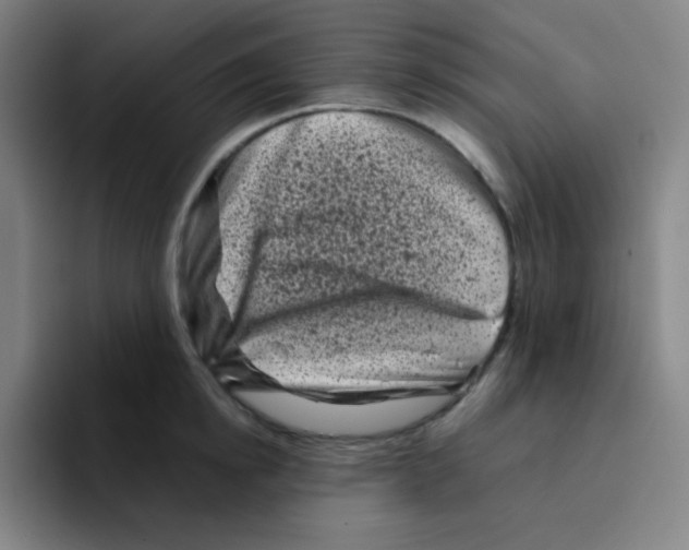 X0000094930854200712271551