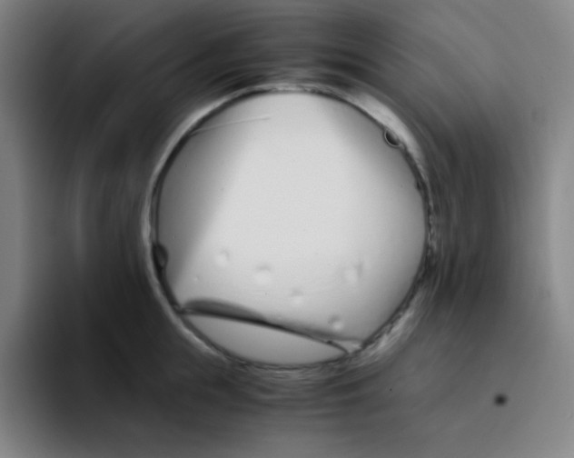 X0000094930855200712271551