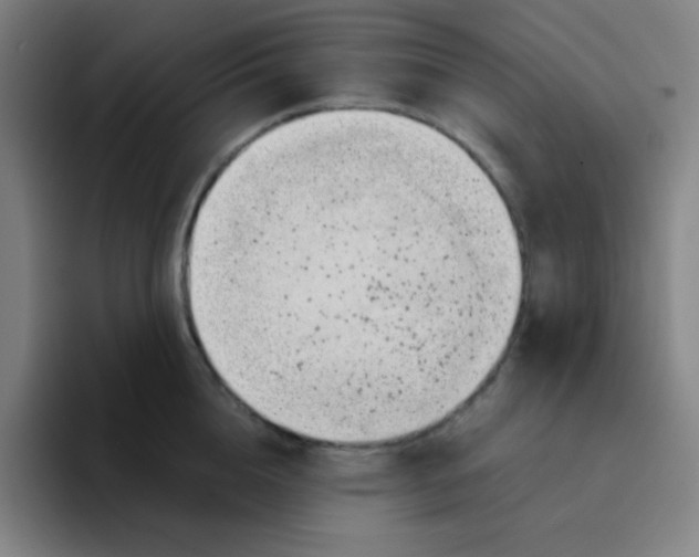 X0000094930856200712271551