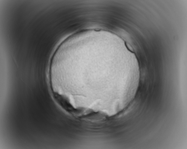 X0000094930863200712271551