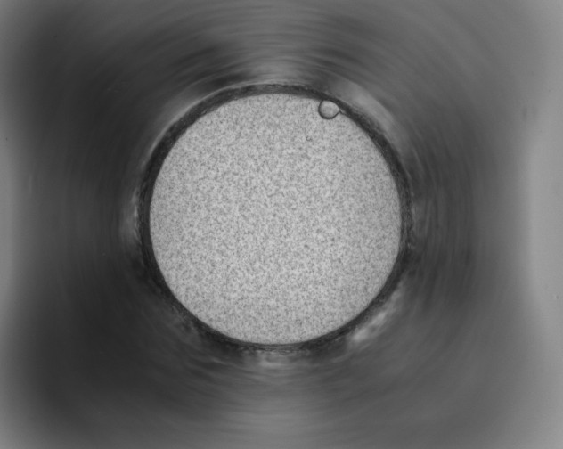 X0000094930875200712271550