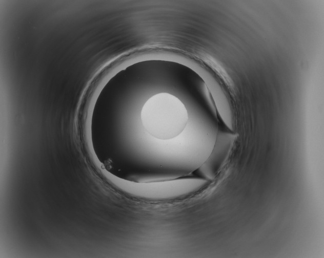 X0000094930876200712271550