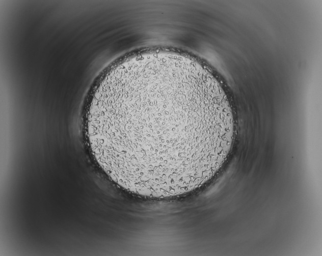 X0000094930879200712271550