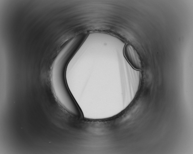 X0000094930881200712271550