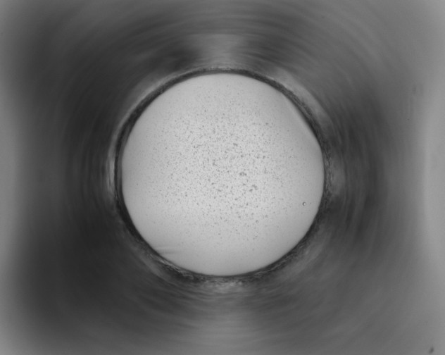 X0000094930886200712271550