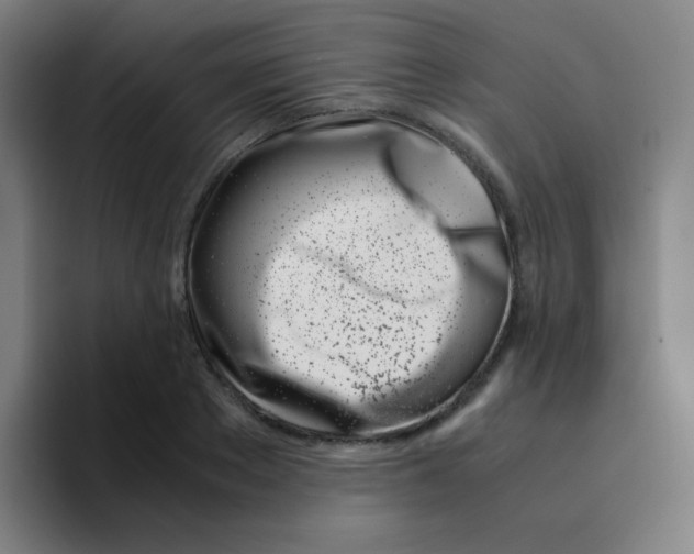 X0000094930889200712271550