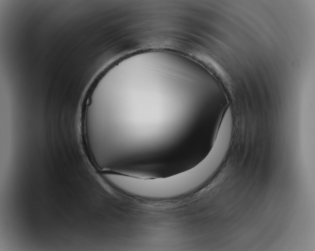 X0000094930894200712271550