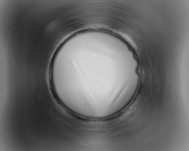 X0000094930895200712271550