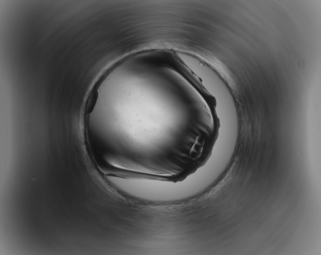X0000094930896200712271550
