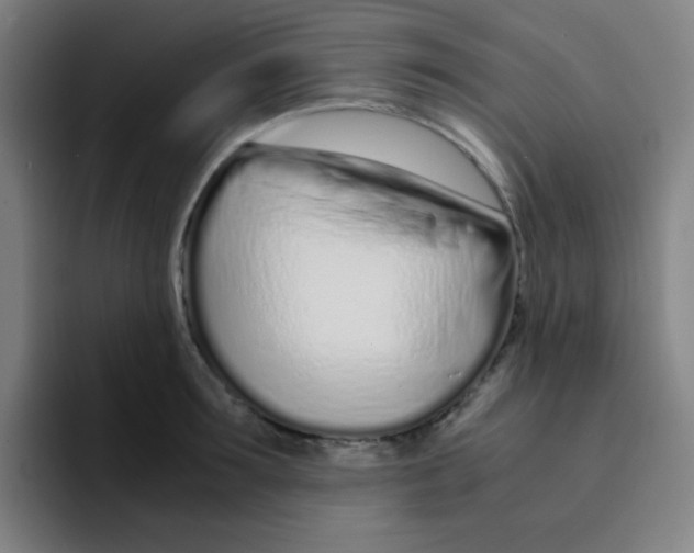 X0000094930899200712271550